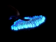 Heng Cheng Electronics Technology ((HK) Co.,Ltd บริษัทที่กําหนดการ